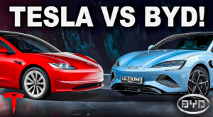 byd vs tesla